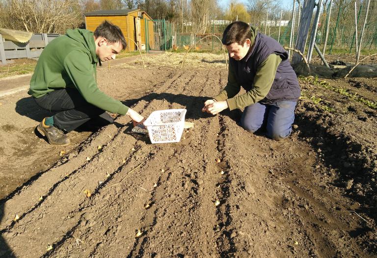 Ik wil samen werken in de tuin